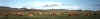camels.jpg (94877 bytes)